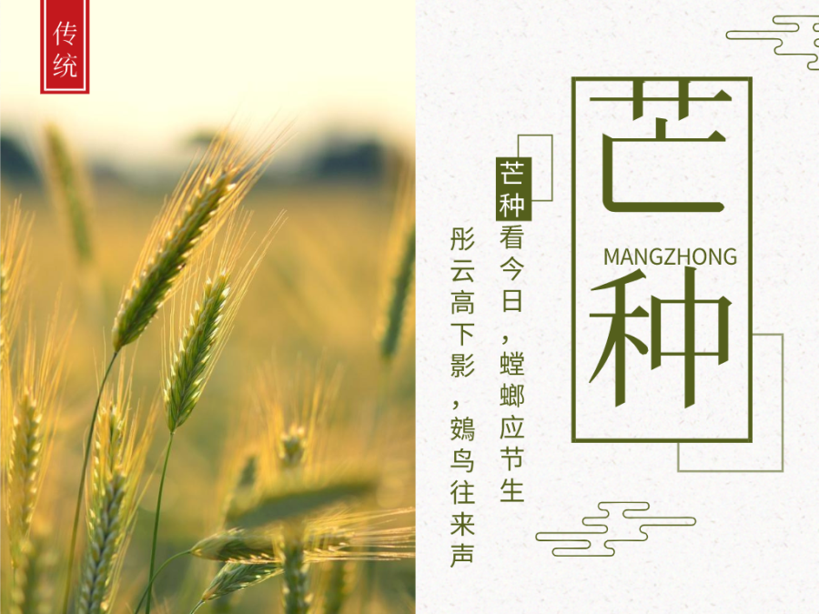 今日芒種，忙有所獲，不負(fù)耕耘！