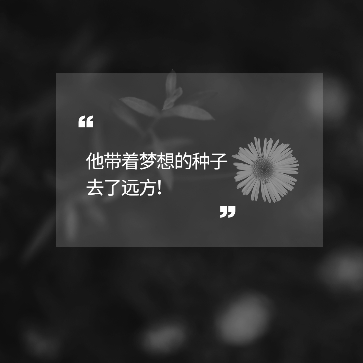 袁隆平用一粒種子的力量改變了世界！